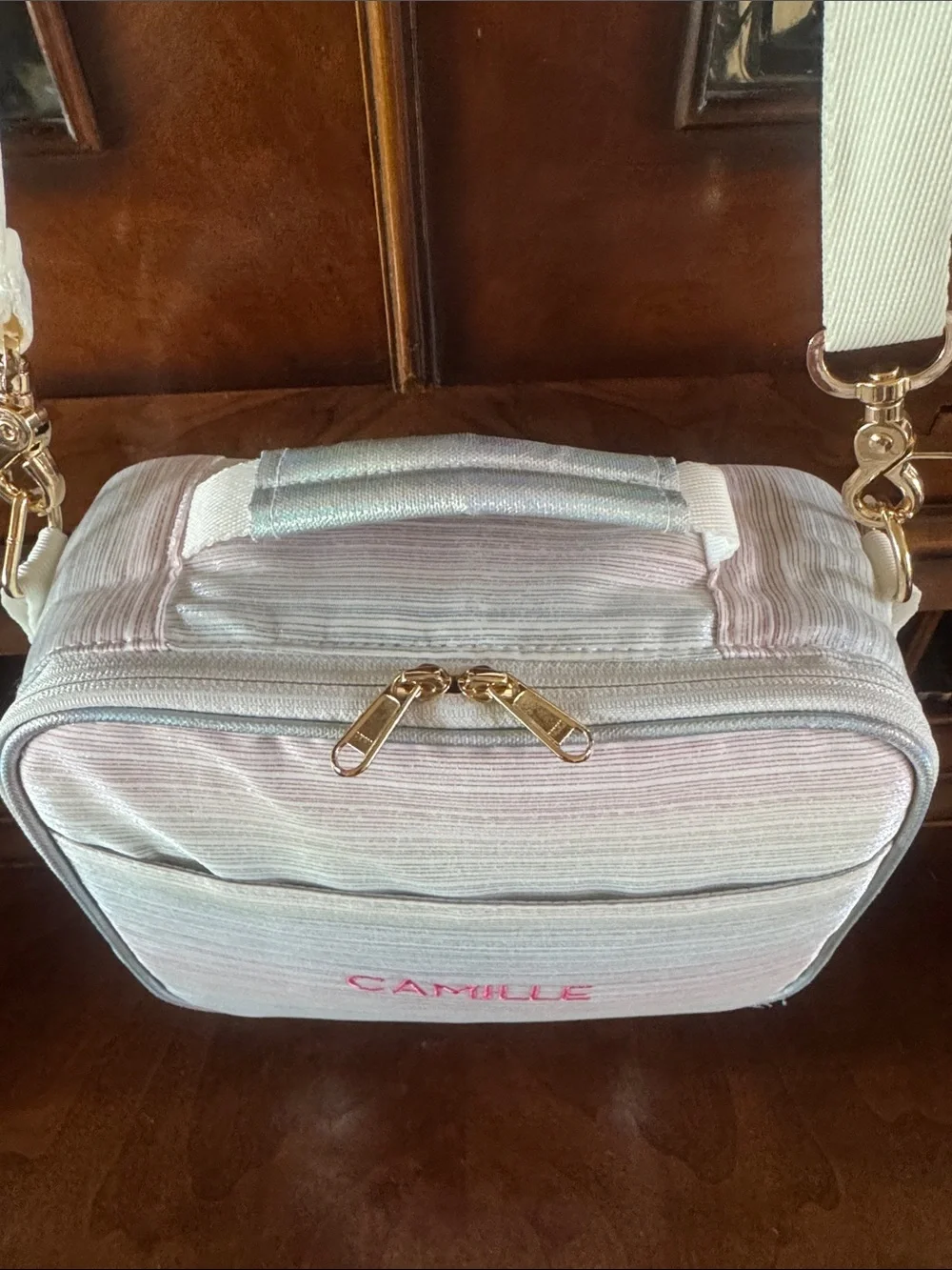 Pottery Barn Teens Ombre Crossbody Lunch Bag 